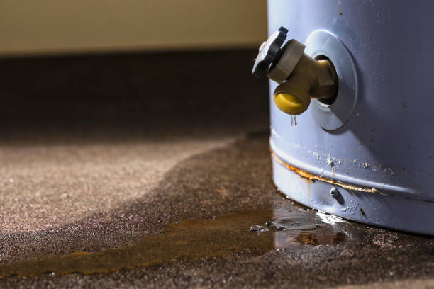 Best Sewage cleanup and water damage restoration  in Underwood, IA