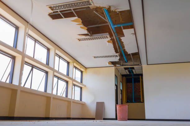 Best 24/7 water damage repair  in Underwood, IA