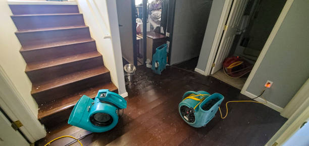 Best Flood damage cleanup  in Underwood, IA