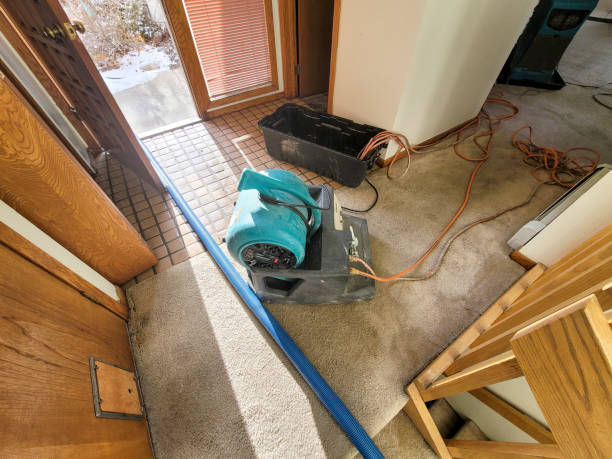 Best Flooded house restoration  in Underwood, IA