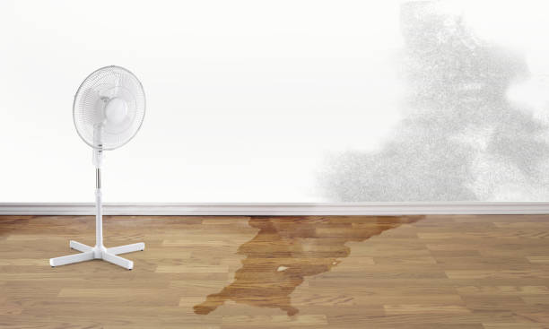 Best Fire Damage Restoration  in Underwood, IA