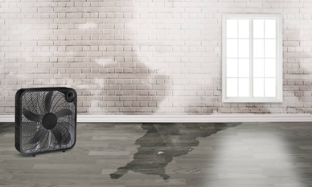 Best Commercial water damage restoration  in Underwood, IA