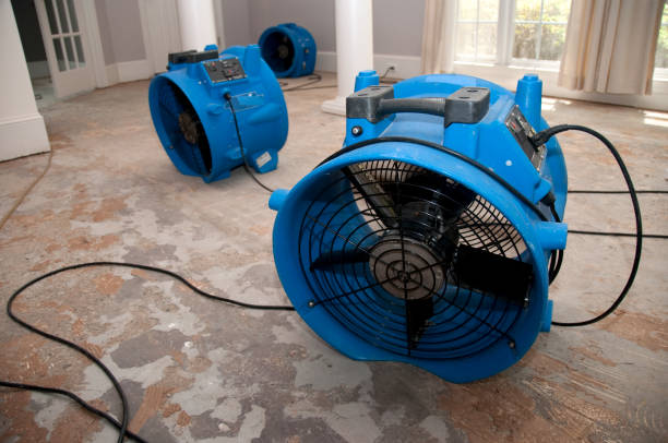 Best Water damage restoration near me  in Underwood, IA