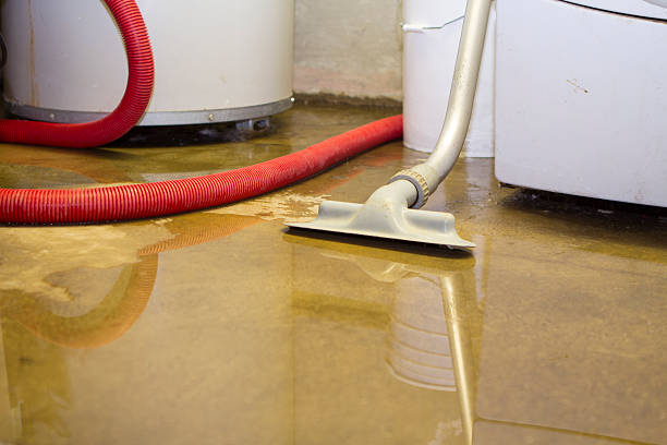 Best Sewage cleanup and water damage restoration  in Underwood, IA