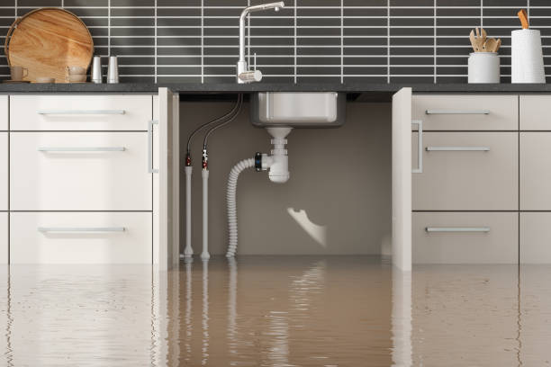 Best Local water damage restoration  in Underwood, IA